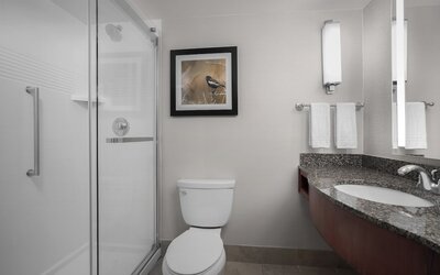 King Junior Suite Full ADA (roll in shower)