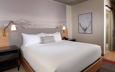 Hotel Indigo Denver Downtown - Union Station by IHG