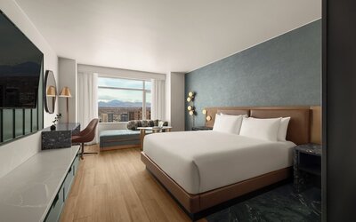 Hyatt Regency Denver at Colorado Convention Center