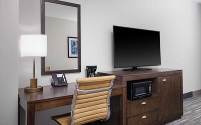 Hampton Inn & Suites Denver Downtown-Convention Center