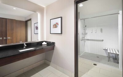 Hampton Inn & Suites Denver Downtown-Convention Center
