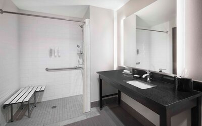 Hampton Inn & Suites Denver Downtown-Convention Center