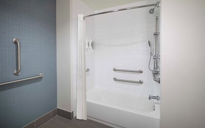Hampton Inn & Suites Denver Downtown-Convention Center
