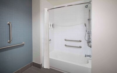 Hampton Inn & Suites Denver Downtown-Convention Center