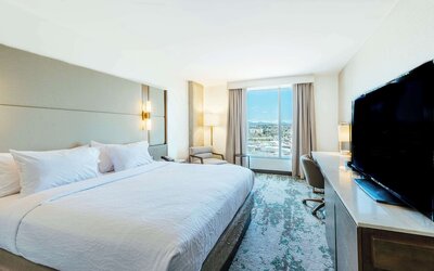 Suite, 1 Bedroom, Accessible (Roll-In Shower)