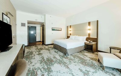 Hilton Garden Inn Denver Union Station, CO