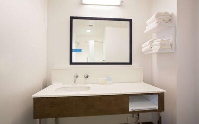 Hampton Inn & Suites Denver-Downtown