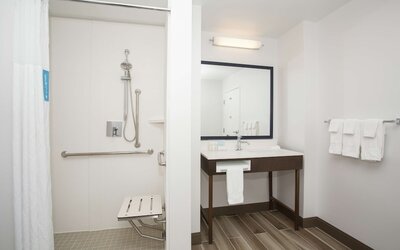 Hampton Inn & Suites Denver-Downtown
