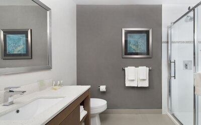 Holiday Inn Hotel & Suites Montreal Centre-ville Ouest by IHG