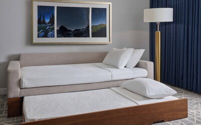 SpringHill Suites by Marriott Denver Downtown