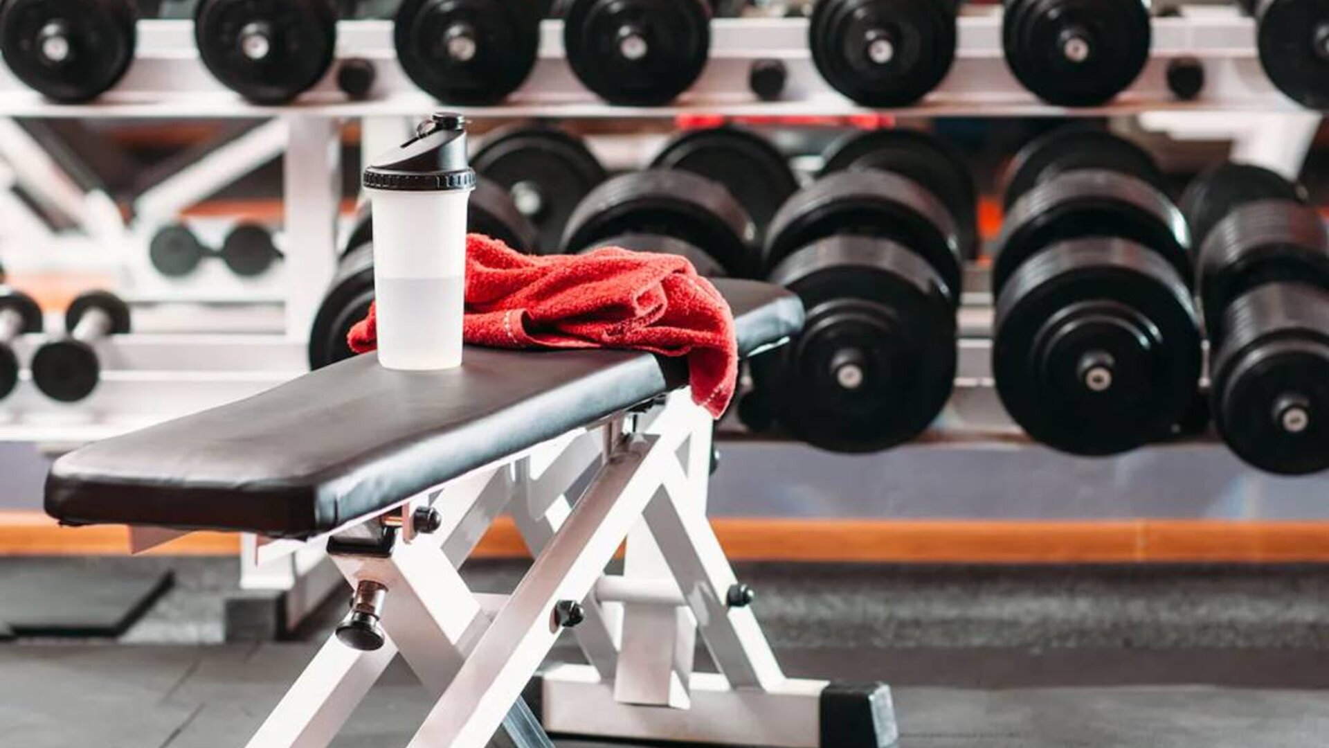 The hotel fitness center, with bench and wide selection of weights.