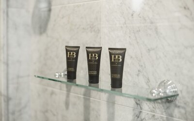 Hotel Birks Montreal