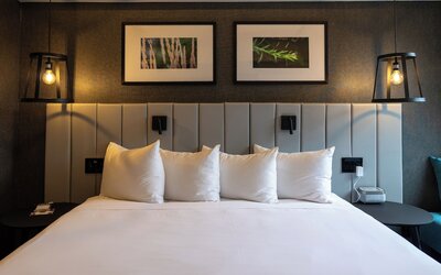 Hotel Bonaventure Montreal