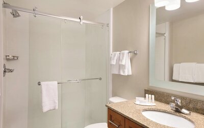 TownePlace Suites By Marriott Denver Downtown