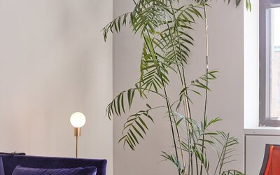 Hotel St. Paul, Montreal, a Member of Design Hotels