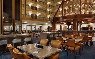 Embassy Suites by Hilton Denver International Airport