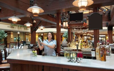 Embassy Suites by Hilton Denver International Airport