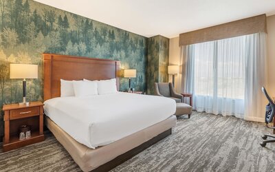 Drury Plaza Hotel Denver Central Park