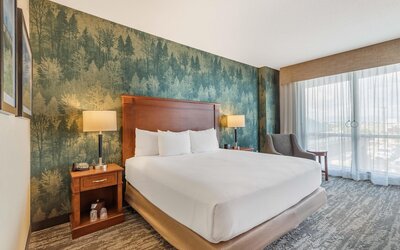 Drury Plaza Hotel Denver Central Park