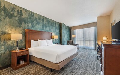 Drury Plaza Hotel Denver Central Park