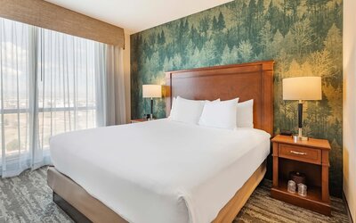 Drury Plaza Hotel Denver Central Park