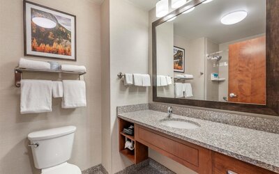 Drury Plaza Hotel Denver Central Park