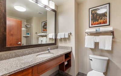 Drury Plaza Hotel Denver Central Park