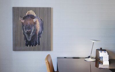 Grand Hyatt Denver