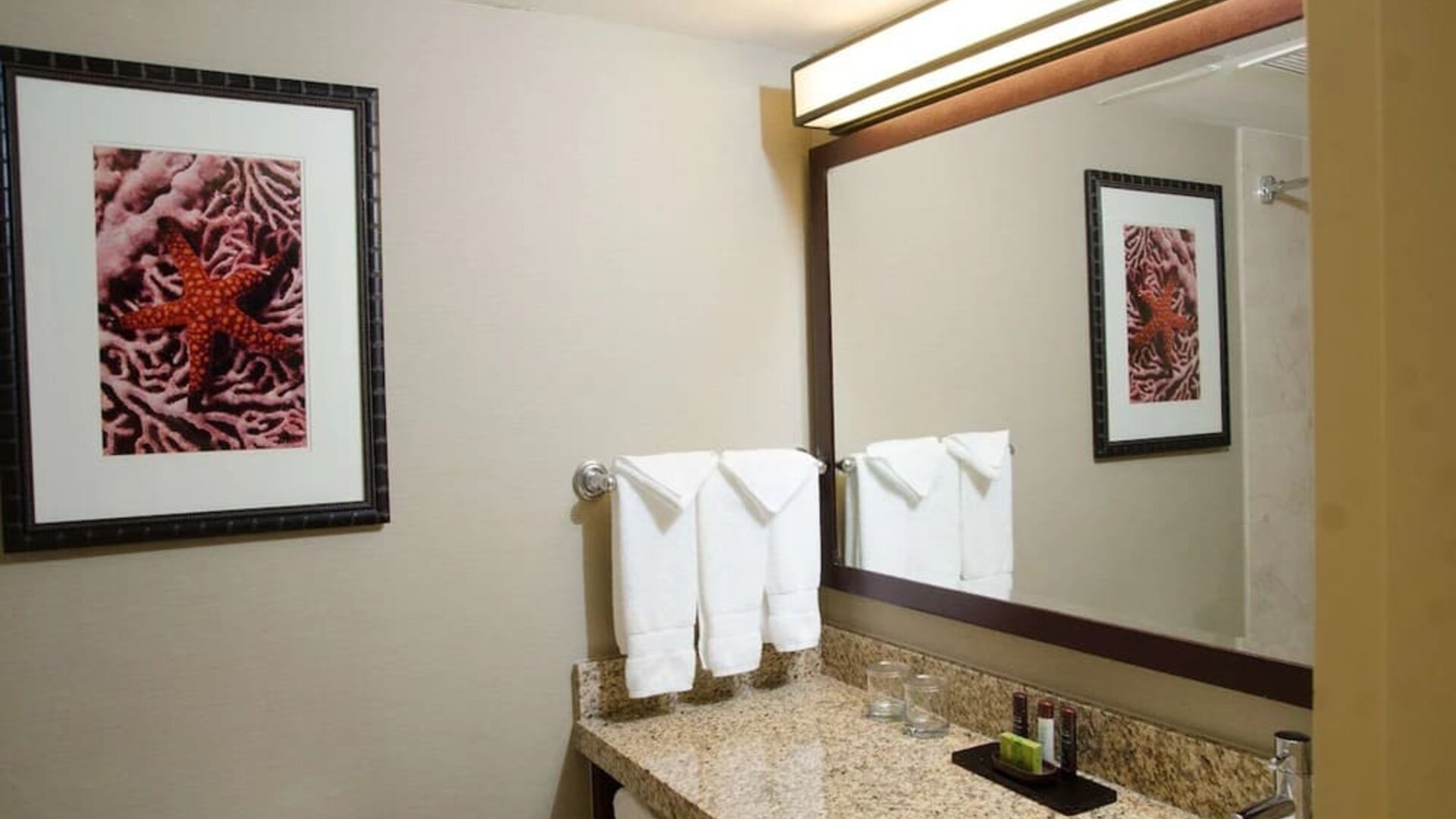 Guest bathroom with shower at Embassy Suites By Hilton West Palm Beach Central.