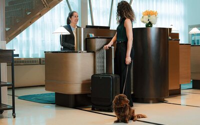 Sofitel Montreal Golden Mile