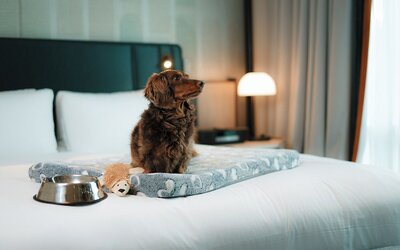 Sofitel Montreal Golden Mile