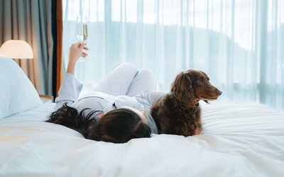 Sofitel Montreal Golden Mile