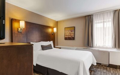Best Western Ville-Marie Montreal Hotel & Suites