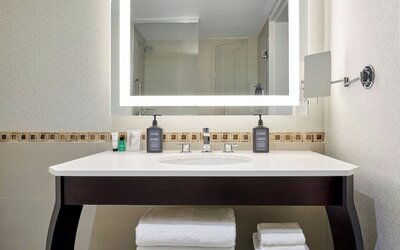 Sheraton Montreal Airport Hotel