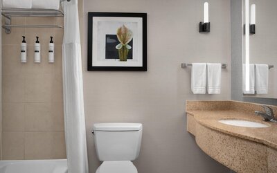 Room, 1 King Bed, Roll-in Shower, Non Smoking