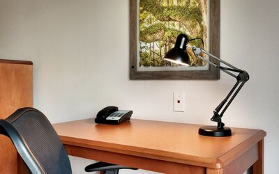 Fairfield Inn & Suites by Marriott Tallahassee Central