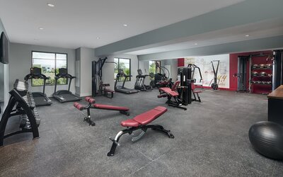 Hotel Indigo Tallahassee - Collegetown by IHG