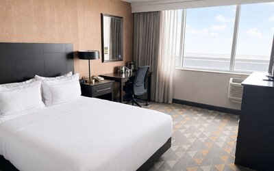 Suite, 1 King Bed