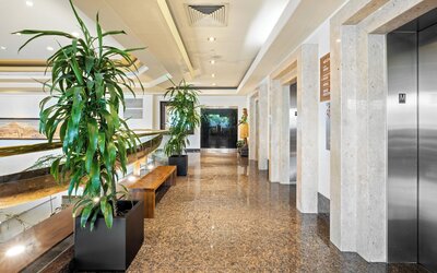 Luana Waikiki Hotel & Suites