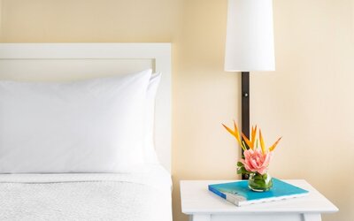 The Twin Fin Hotel