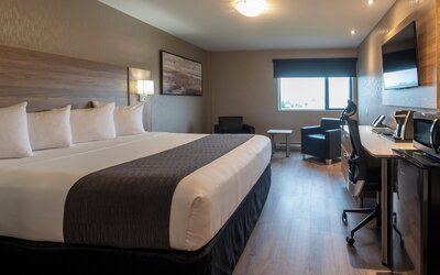Hotel & Suites Le Dauphin Quebec