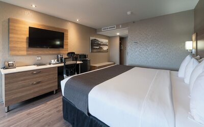 Hotel & Suites Le Dauphin Quebec