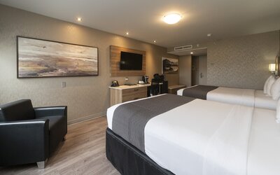 Hotel & Suites Le Dauphin Quebec