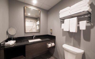 Hotel & Suites Le Dauphin Quebec