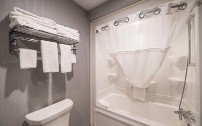Hotel & Suites Le Dauphin Quebec