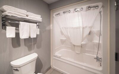 Hotel & Suites Le Dauphin Quebec