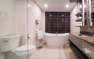 Hotel & Suites Le Dauphin Quebec