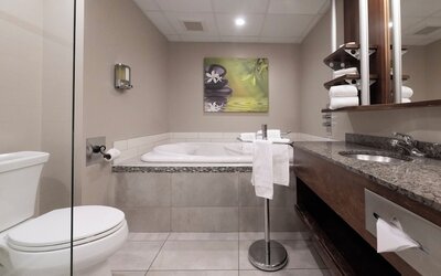 Hotel & Suites Le Dauphin Quebec