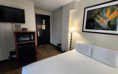 Stay Hotel Waikiki