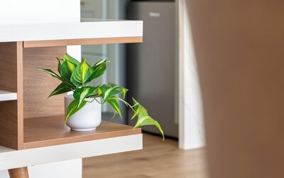 Renovated Pacific Monarch Studio Near Waikiki Beach